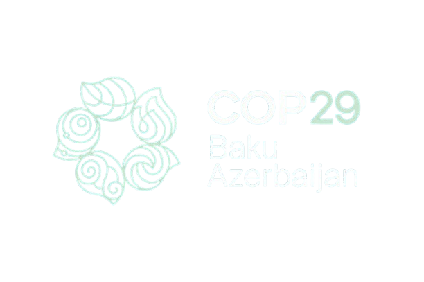 COP29 Leadership